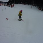 phoca_thumb_m_lye- 4.2.  33 Fotogalerie